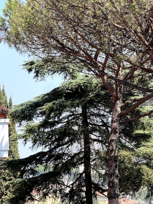 Apartment Planny - Vaticano *